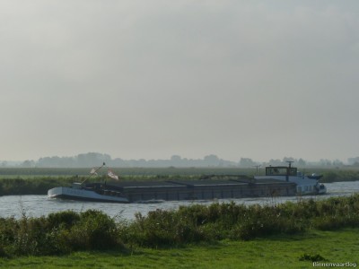 Dandy-1-13-09-2014.jpg (135.76 Kio) Vu 1627 fois Dandy-1-13-09-2014.jpg