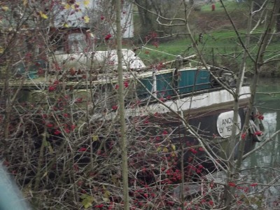 DSCF3725.JPG (298.32 Kio) Vu 6247 fois DSCF3725.JPG