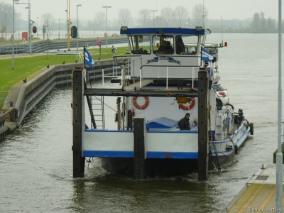 Mazzel-1-02-12-2014.jpg (219.04 Kio) Vu 1808 fois Mazzel-1-02-12-2014.jpg