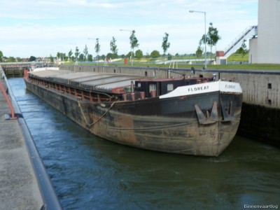 Floreat-3-22-05-2014.jpg