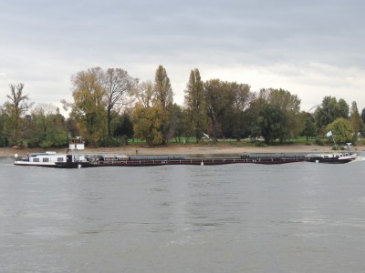 DSCN8776 (Copier).JPG (155.94 Kio) Vu 1647 fois DSCN8776 (Copier).JPG