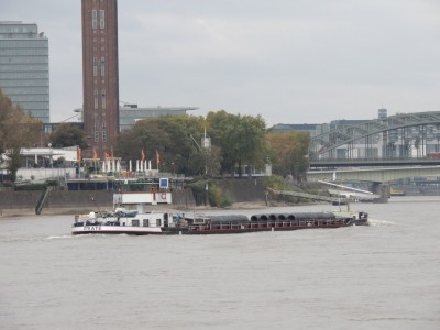 DSCN8786 (Copier).JPG (150.6 Kio) Vu 1647 fois DSCN8786 (Copier).JPG