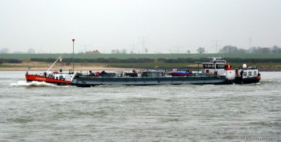 Proserpina-2-21-01-2014.jpg