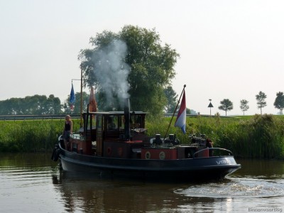 Feint-3-05-09-2014.jpg