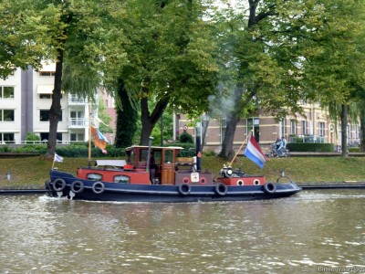 Feint-2-08-09-2014.jpg