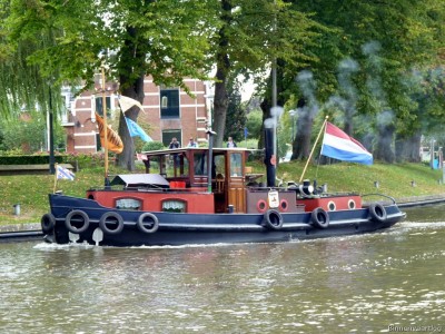 Feint-1-08-09-2014.jpg