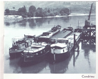 a-Loutre Daim et Réaumur à Condrieu.jpg