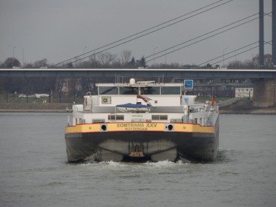 DSCN8887 (Medium).JPG