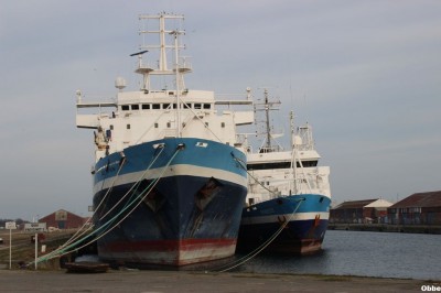 Nouvel an 163.JPG (90.65 Kio) Vu 3484 fois Nouvel an 163.JPG