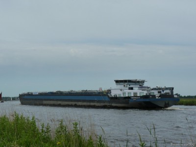 Theodela-C-2-07-06-2014.jpg