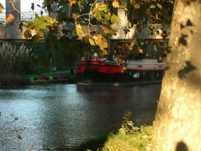 DSCN4331.JPG (234.09 Kio) Vu 1556 fois DSCN4331.JPG