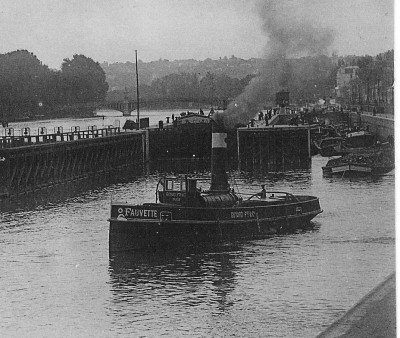 Fauvette - 2a.jpg