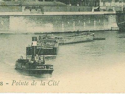 Fauvette - 4.jpg