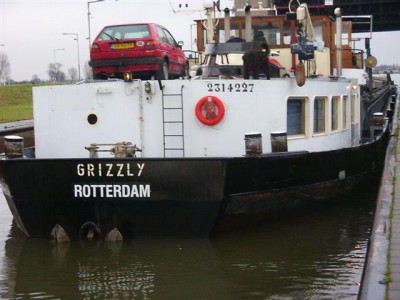 Grizzly-2-07-11-2008.JPG