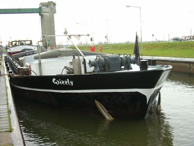 Grizzly-1-07-11-2008.jpg