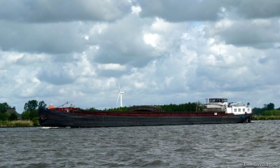 elwi-1-15-05-2011.jpg