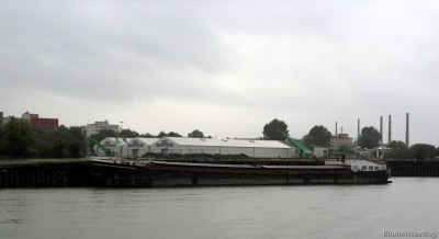 Baccara-4.jpg