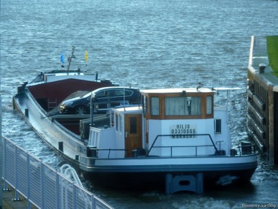 Hiljo-3-14-01-2015.jpg (216.6 Kio) Vu 1161 fois Hiljo-3-14-01-2015.jpg