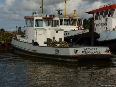 Bobcat-1-01-09-2014.jpg (217.67 Kio) Vu 1912 fois Bobcat-1-01-09-2014.jpg