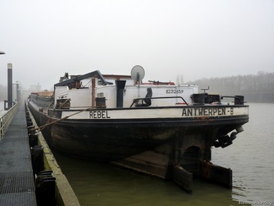 Rebel en Vallelunga-5-26-01-2015.jpg