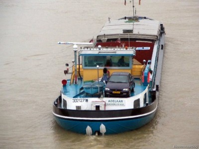 adelaar106032007lq0.jpg (149.82 Kio) Vu 1770 fois adelaar106032007lq0.jpg