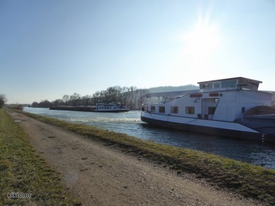 P1060758 (Copier).JPG (124.01 Kio) Vu 3946 fois P1060758 (Copier).JPG