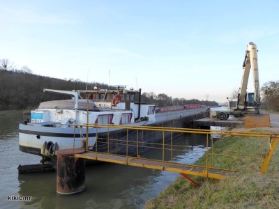 P1060846 (Copier).JPG (115.95 Kio) Vu 4603 fois P1060846 (Copier).JPG