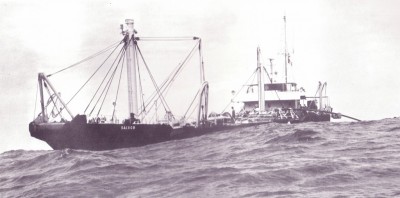 alctsalvor.jpg (120.73 Kio) Vu 4101 fois alctsalvor.jpg