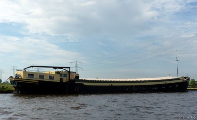 hensie-3-08-07-2010.jpg