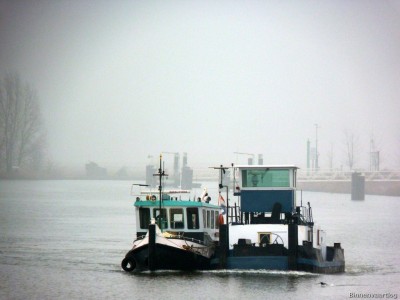 Furie-1-17-02-2015.jpg (168.23 Kio) Vu 1809 fois Furie-1-17-02-2015.jpg