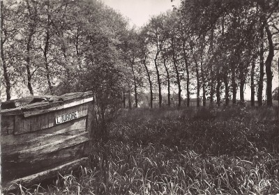 AURORE_CP.jpg (756.13 Kio) Vu 6907 fois AURORE_CP.jpg