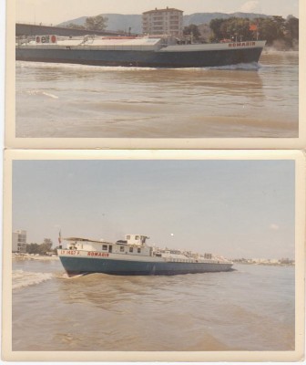 romarin.jpg (113.37 Kio) Vu 12791 fois romarin.jpg