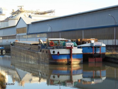 P1070217 (Copier).JPG (115.22 Kio) Vu 5735 fois P1070217 (Copier).JPG