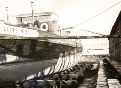 Guêpe 59 (Kairos).jpg (74.92 Kio) Vu 1597 fois Guêpe 59 (Kairos).jpg