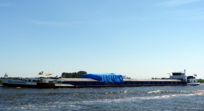 belladonna-1-26-05-2012.jpg (44.79 Kio) Vu 1196 fois belladonna-1-26-05-2012.jpg