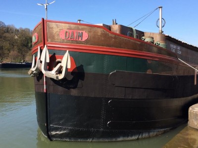 daim.jpg (69.1 Kio) Vu 7104 fois daim.jpg