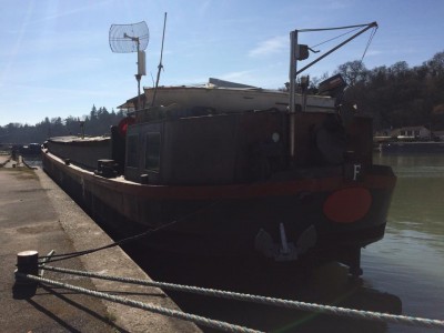 daim2.jpg (58.48 Kio) Vu 7104 fois daim2.jpg