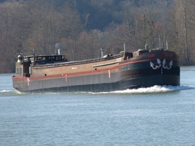 daim4.jpg (132.97 Kio) Vu 7104 fois daim4.jpg