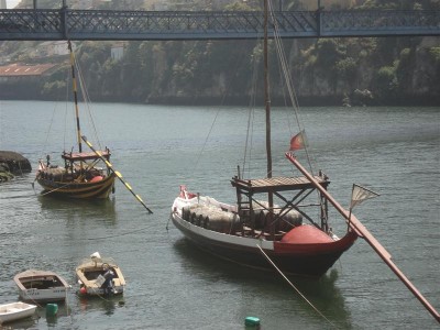 DSC00233 (Medium).JPG (93.89 Kio) Vu 4345 fois DSC00233 (Medium).JPG