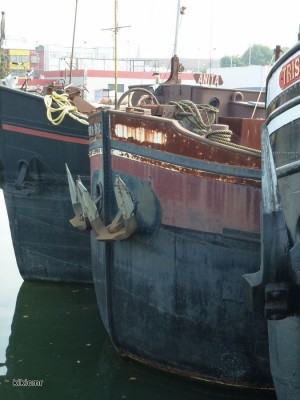 SOLI DEO Anvers septembre 2012 (1).JPG (104.1 Kio) Vu 2446 fois SOLI DEO Anvers septembre 2012 (1).JPG