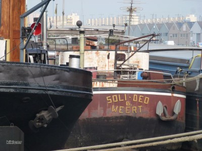 SOLI DEO Anvers septembre 2012 (2).JPG (121.1 Kio) Vu 2446 fois SOLI DEO Anvers septembre 2012 (2).JPG