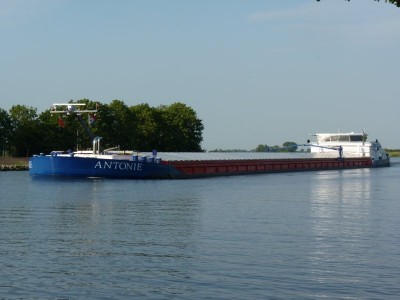 antonie-1-09-07-2010.jpg
