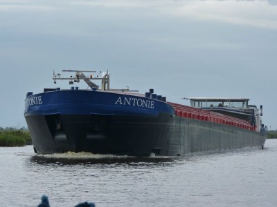antonie-1-18-09-2010.jpg