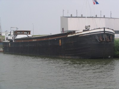 allegonda113062007.jpg