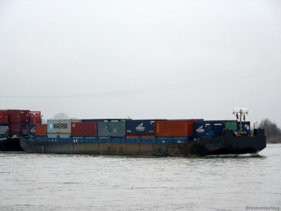 Guna-2-21-01-2014.jpg