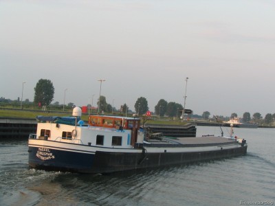 mazzel-3-20-07-2006.jpg (153.13 Kio) Vu 14766 fois mazzel-3-20-07-2006.jpg