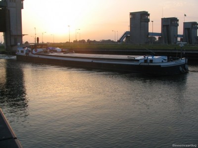 mazzel-2-20-07-2006.jpg (192.43 Kio) Vu 15107 fois mazzel-2-20-07-2006.jpg