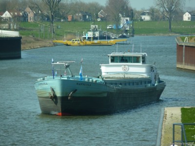 Navicula-1-14-04-2015.jpg (222.87 Kio) Vu 2768 fois Navicula-1-14-04-2015.jpg