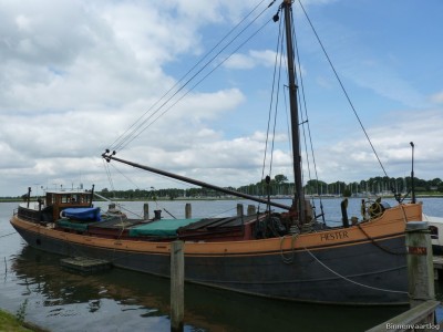 hester-2-21-06-2010.jpg (169.51 Kio) Vu 2580 fois hester-2-21-06-2010.jpg