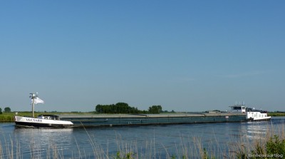 Vectare-2-06-06-2014.jpg